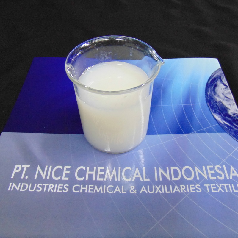 ace-neosoft-pp
